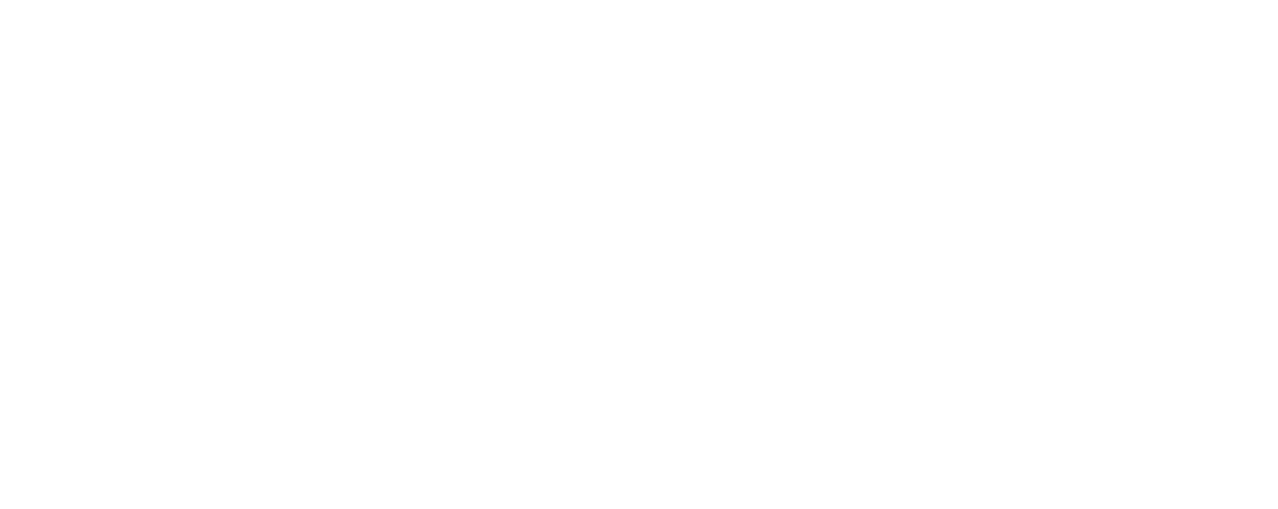 logo rutini